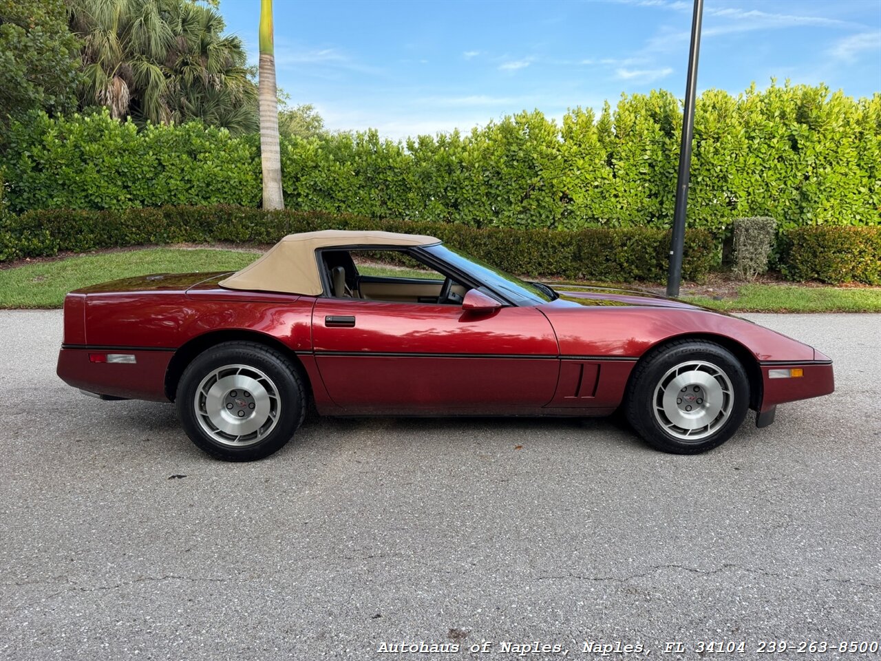 1987 Chevrolet Corvette   - Photo 14 - Naples, FL 34104