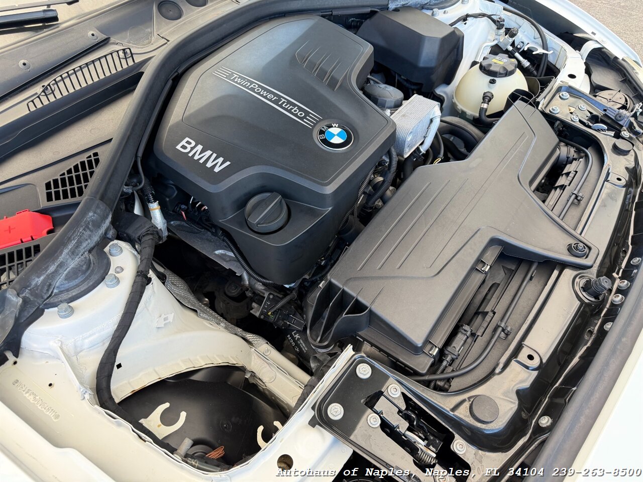 2016 BMW 228i   - Photo 17 - Naples, FL 34104