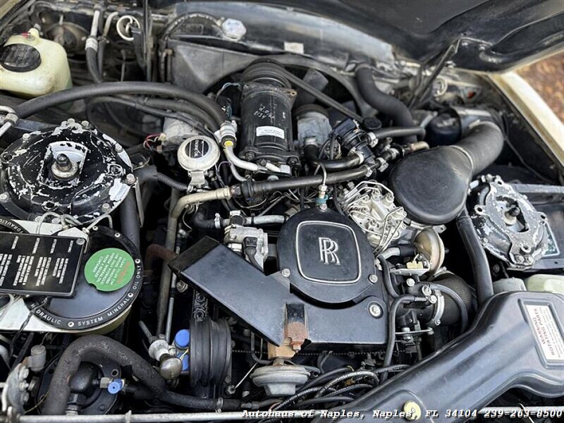 1981 Rolls-Royce Silver Spur   - Photo 31 - Naples, FL 34104