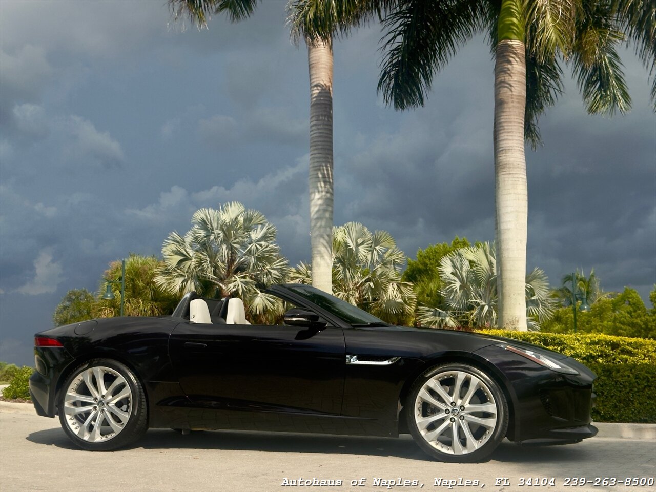 2014 Jaguar F-TYPE - Photo 10 - Naples, FL 34104