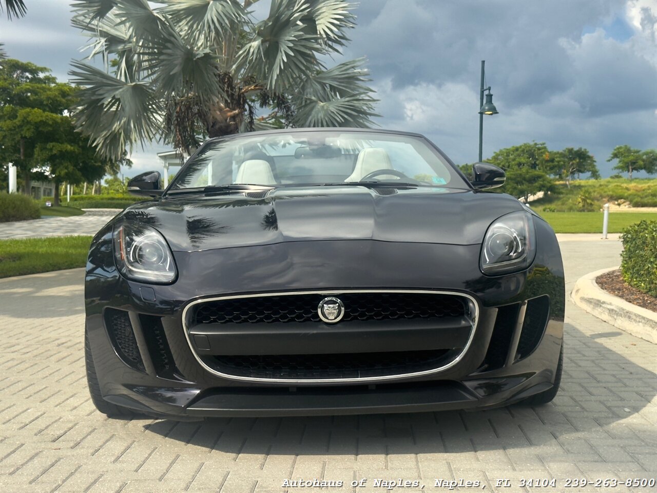 2014 Jaguar F-TYPE - Photo 6 - Naples, FL 34104