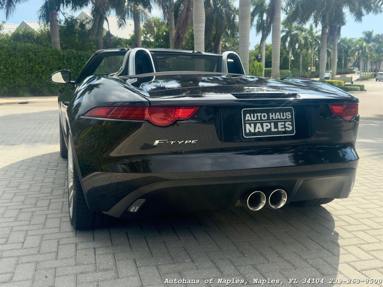 2014 Jaguar F-TYPE - Photo 4 - Naples, FL 34104