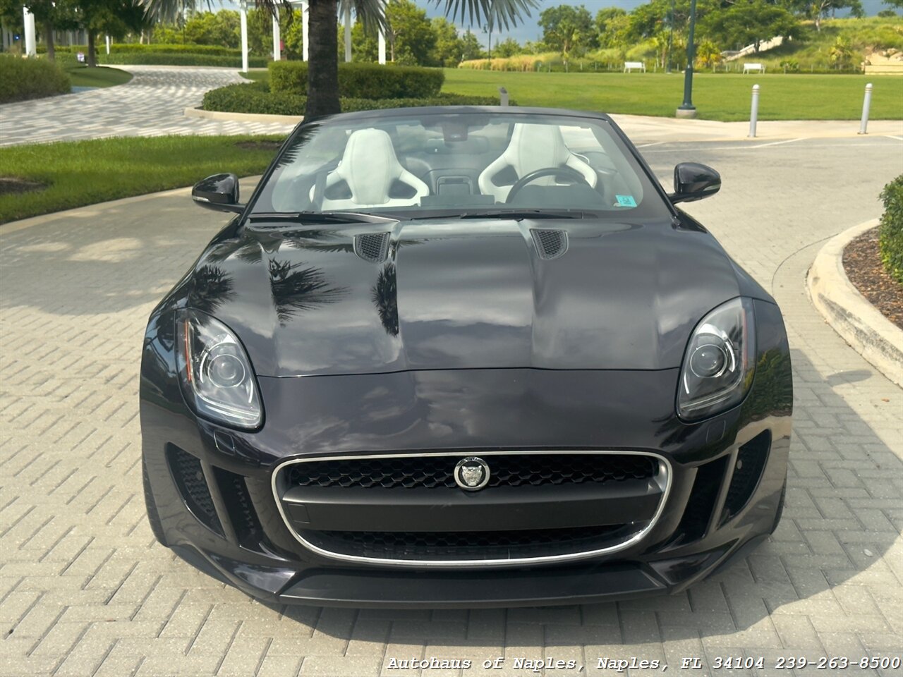 2014 Jaguar F-TYPE - Photo 5 - Naples, FL 34104