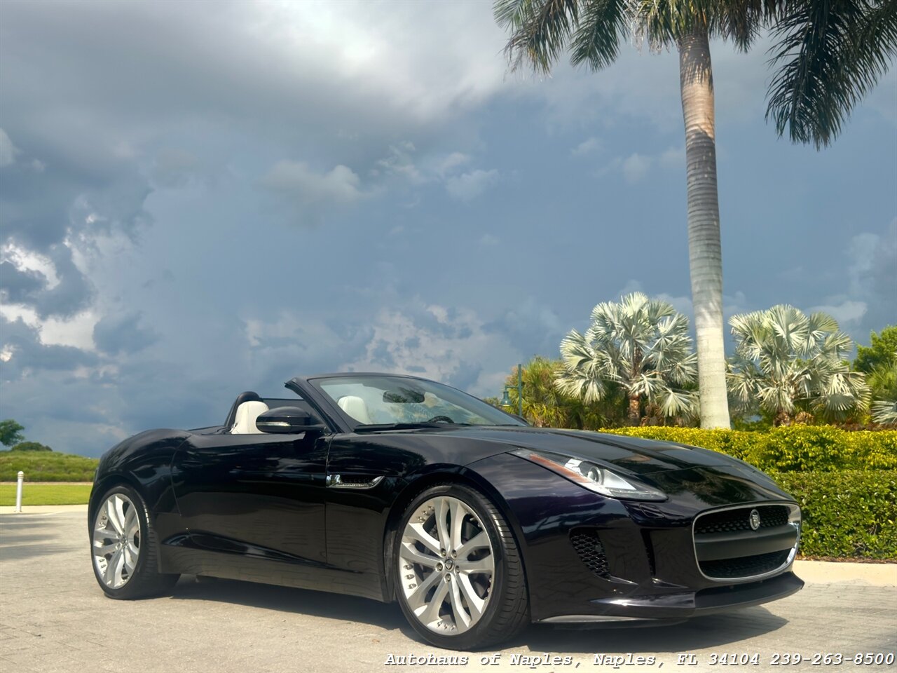 2014 Jaguar F-TYPE - Photo 3 - Naples, FL 34104