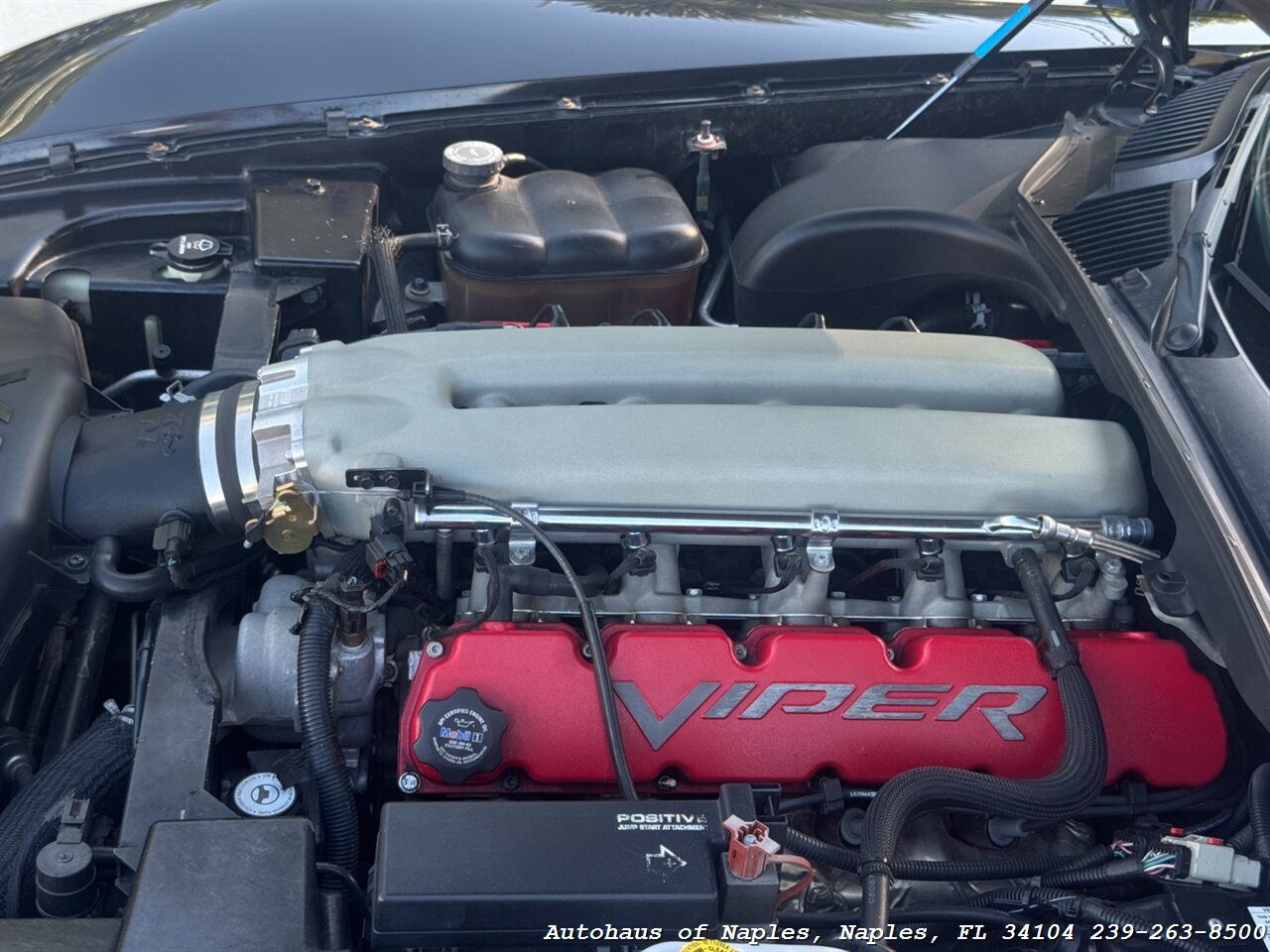 2006 Dodge Viper SRT-10 - Photo 19 - Naples, FL 34104