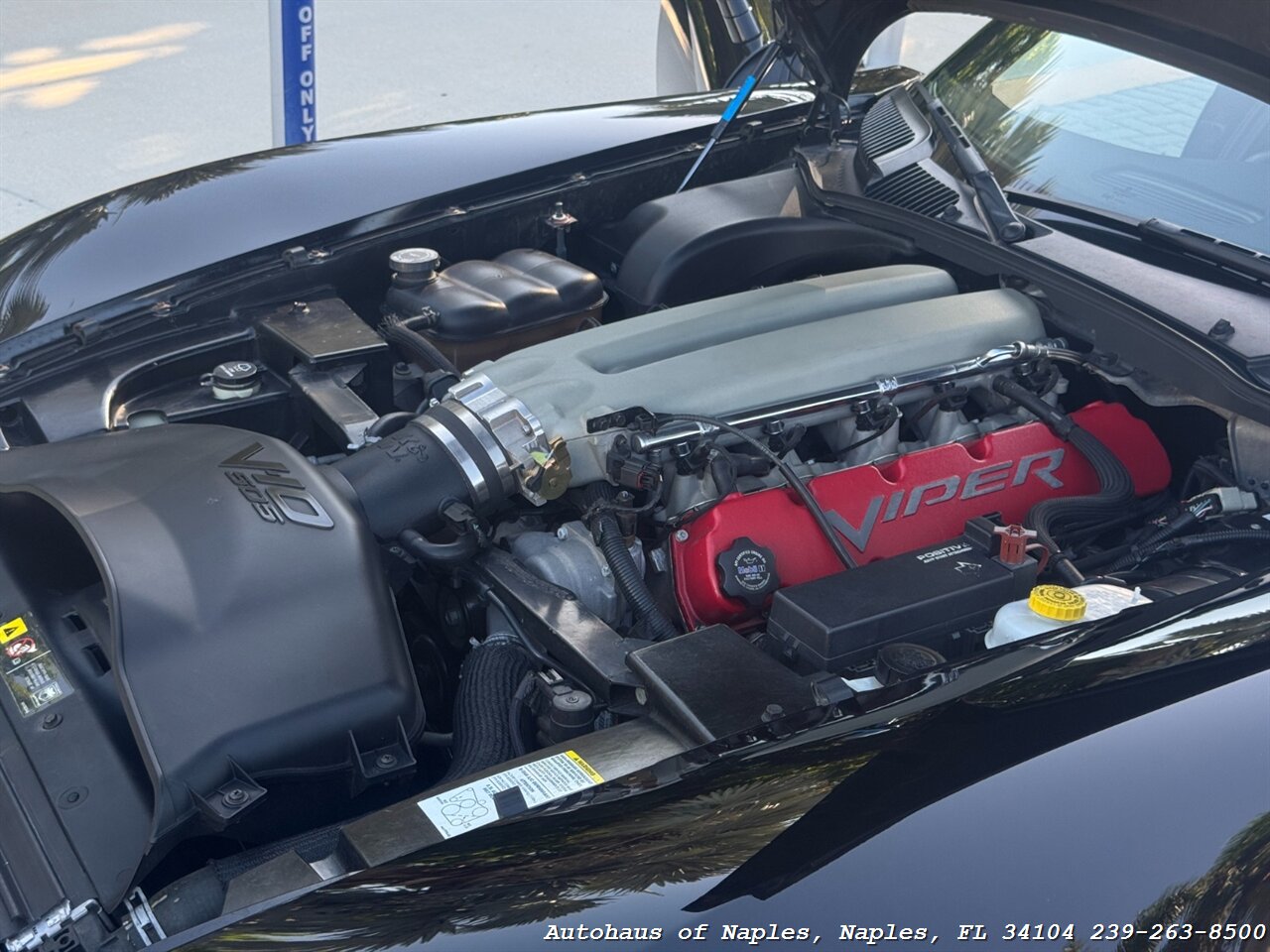 2006 Dodge Viper SRT-10 - Photo 56 - Naples, FL 34104