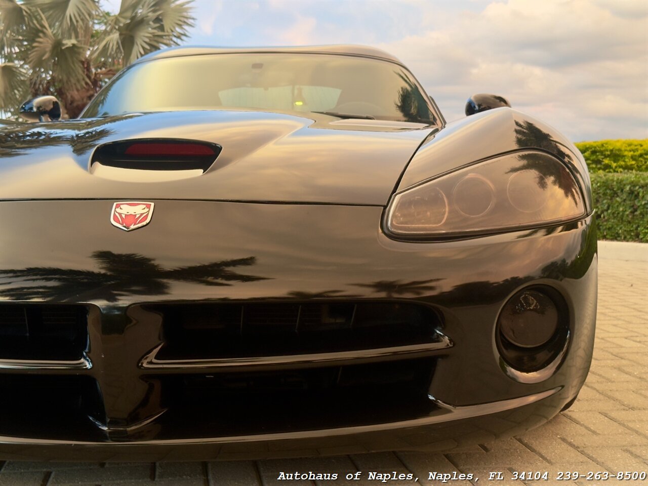 2006 Dodge Viper SRT-10 - Photo 7 - Naples, FL 34104