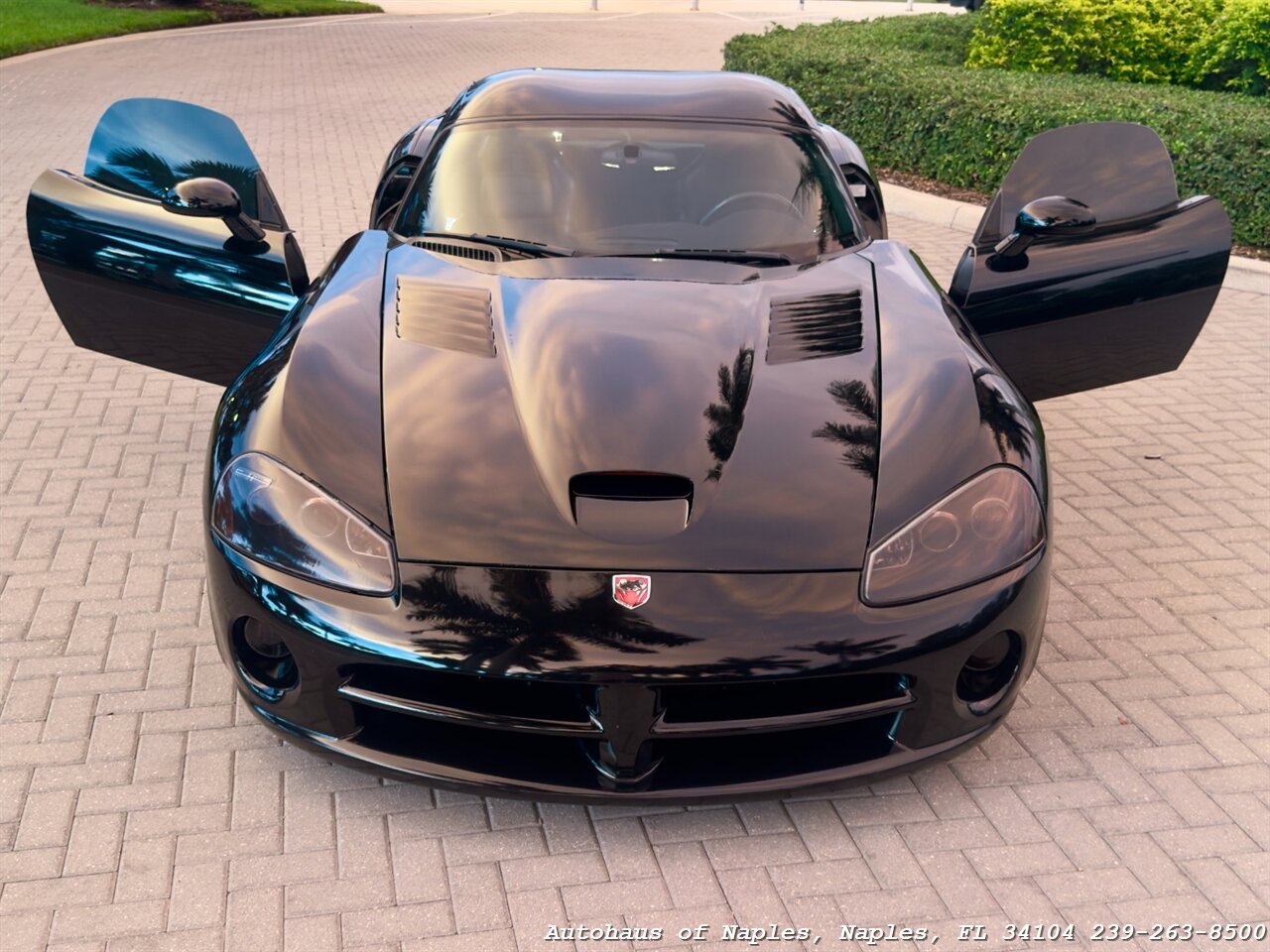 2006 Dodge Viper SRT-10 - Photo 2 - Naples, FL 34104