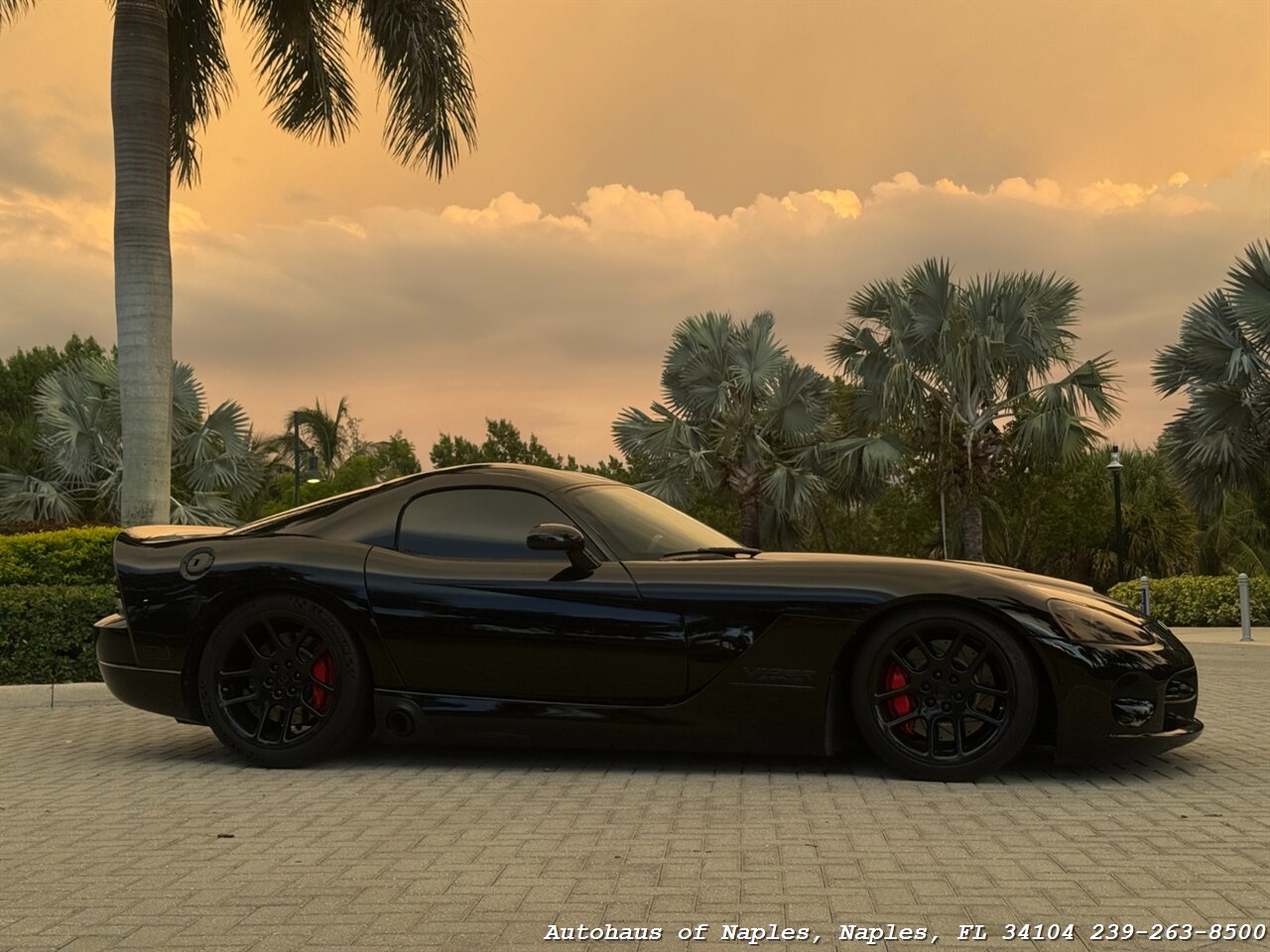 2006 Dodge Viper SRT-10 - Photo 6 - Naples, FL 34104