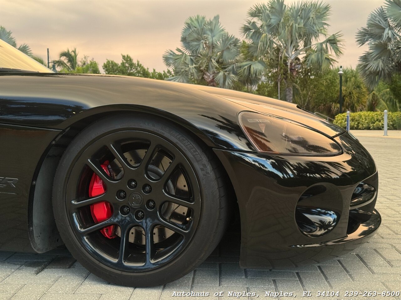 2006 Dodge Viper SRT-10 - Photo 9 - Naples, FL 34104