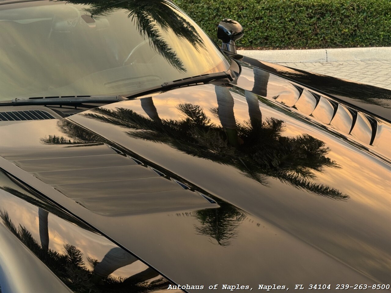 2006 Dodge Viper SRT-10 - Photo 3 - Naples, FL 34104