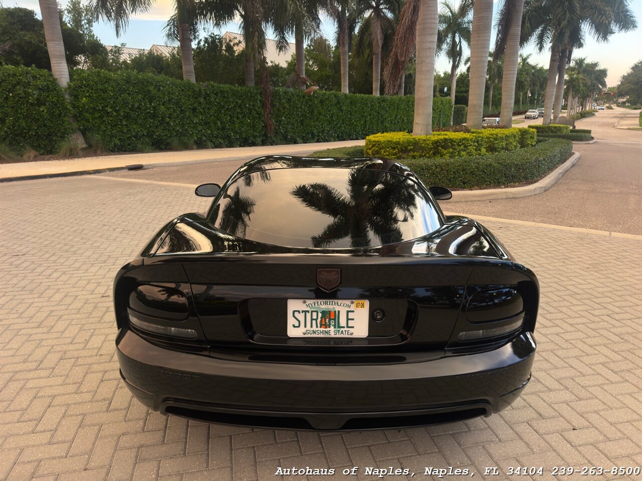 2006 Dodge Viper SRT-10 - Photo 16 - Naples, FL 34104