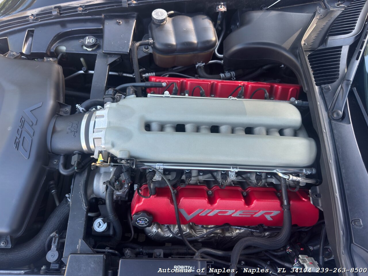2006 Dodge Viper SRT-10 - Photo 55 - Naples, FL 34104