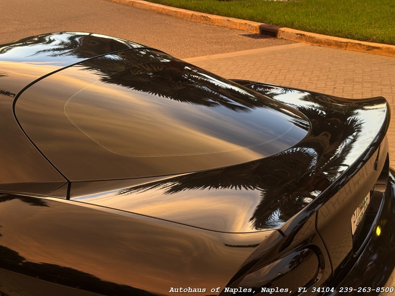 2006 Dodge Viper SRT-10 - Photo 4 - Naples, FL 34104