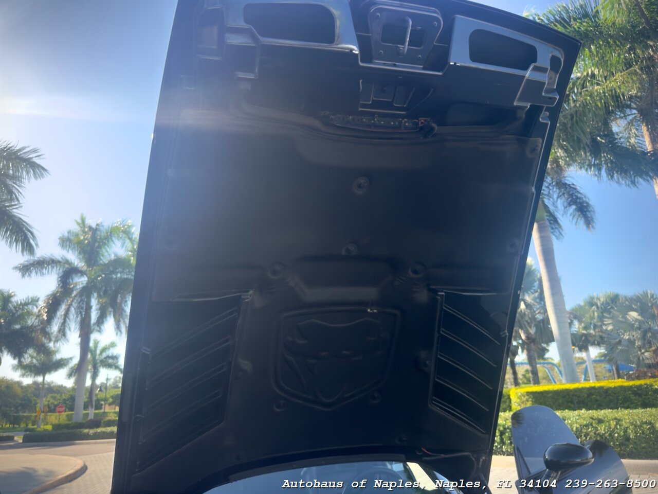 2006 Dodge Viper SRT-10 - Photo 18 - Naples, FL 34104