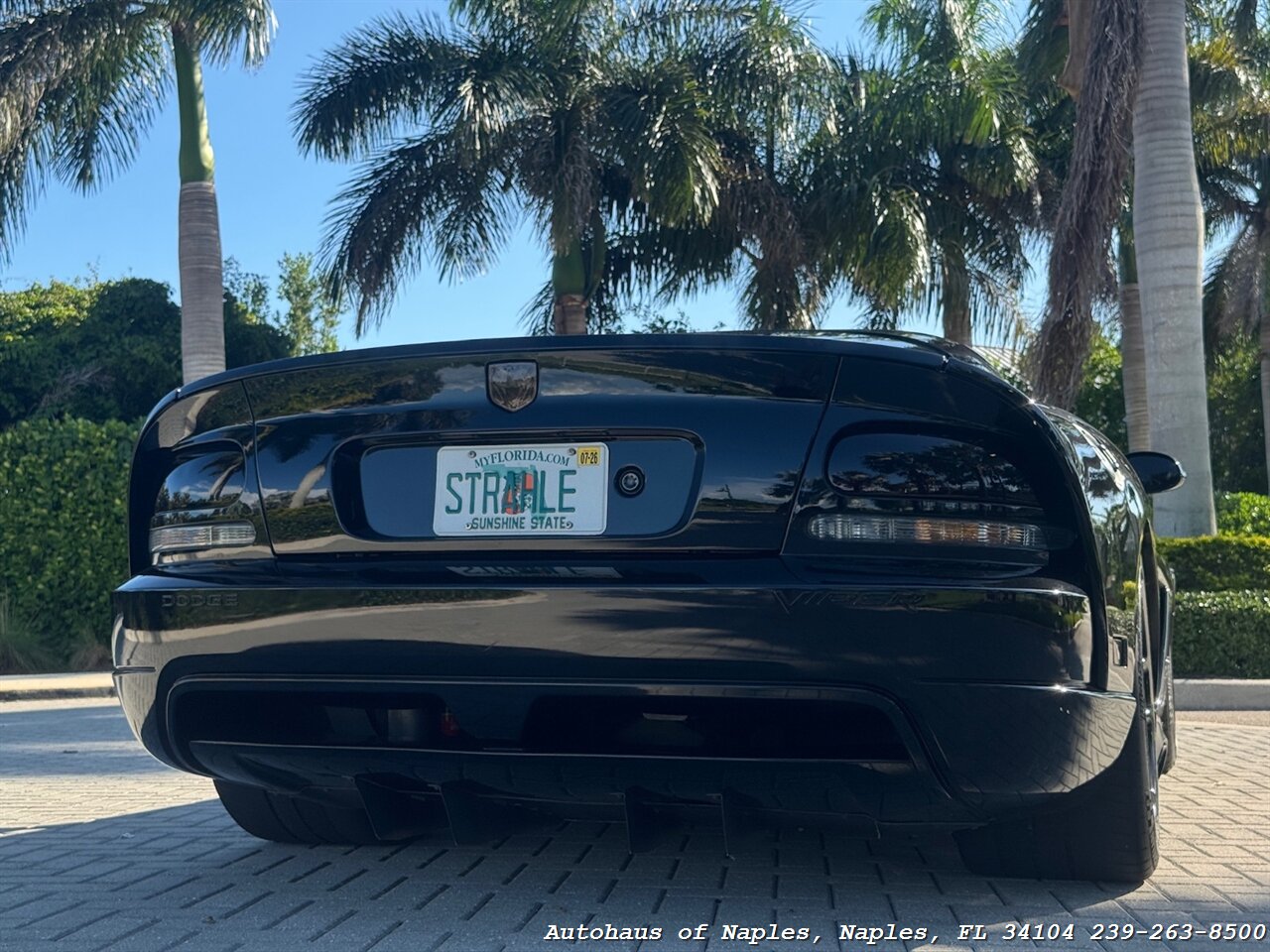 2006 Dodge Viper SRT-10 - Photo 50 - Naples, FL 34104