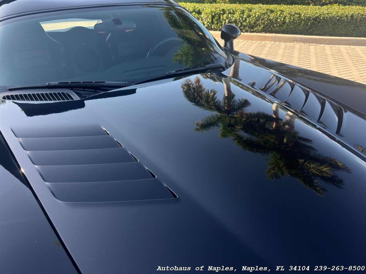 2006 Dodge Viper SRT-10 - Photo 37 - Naples, FL 34104