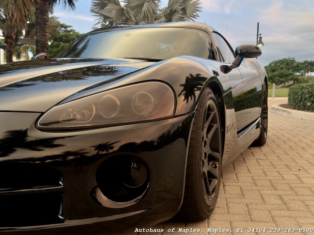 2006 Dodge Viper SRT-10 - Photo 8 - Naples, FL 34104
