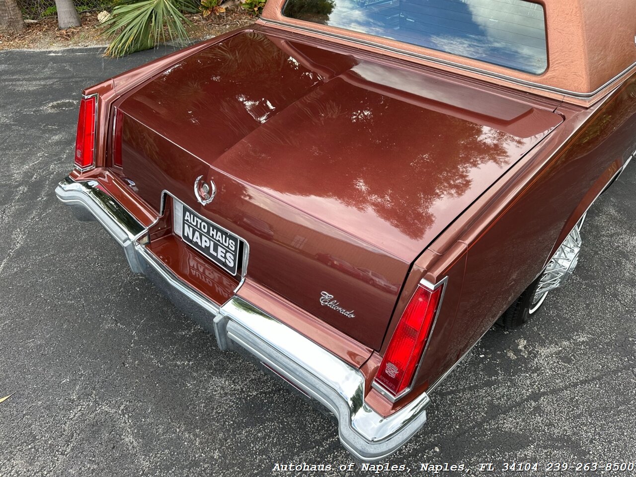 1979 Cadillac Eldorado   - Photo 22 - Naples, FL 34104