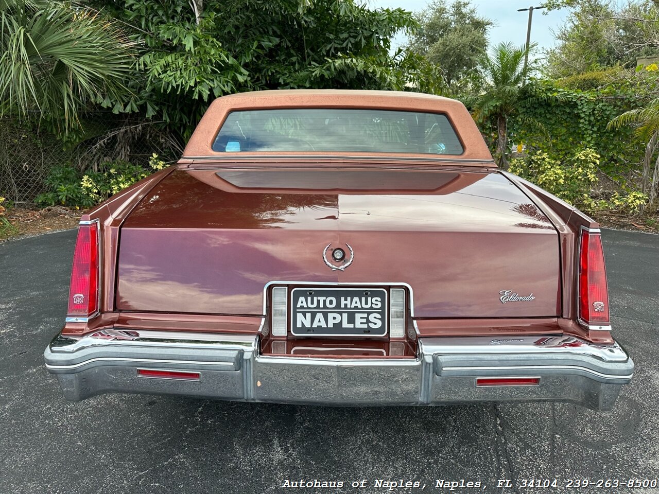 1979 Cadillac Eldorado   - Photo 16 - Naples, FL 34104