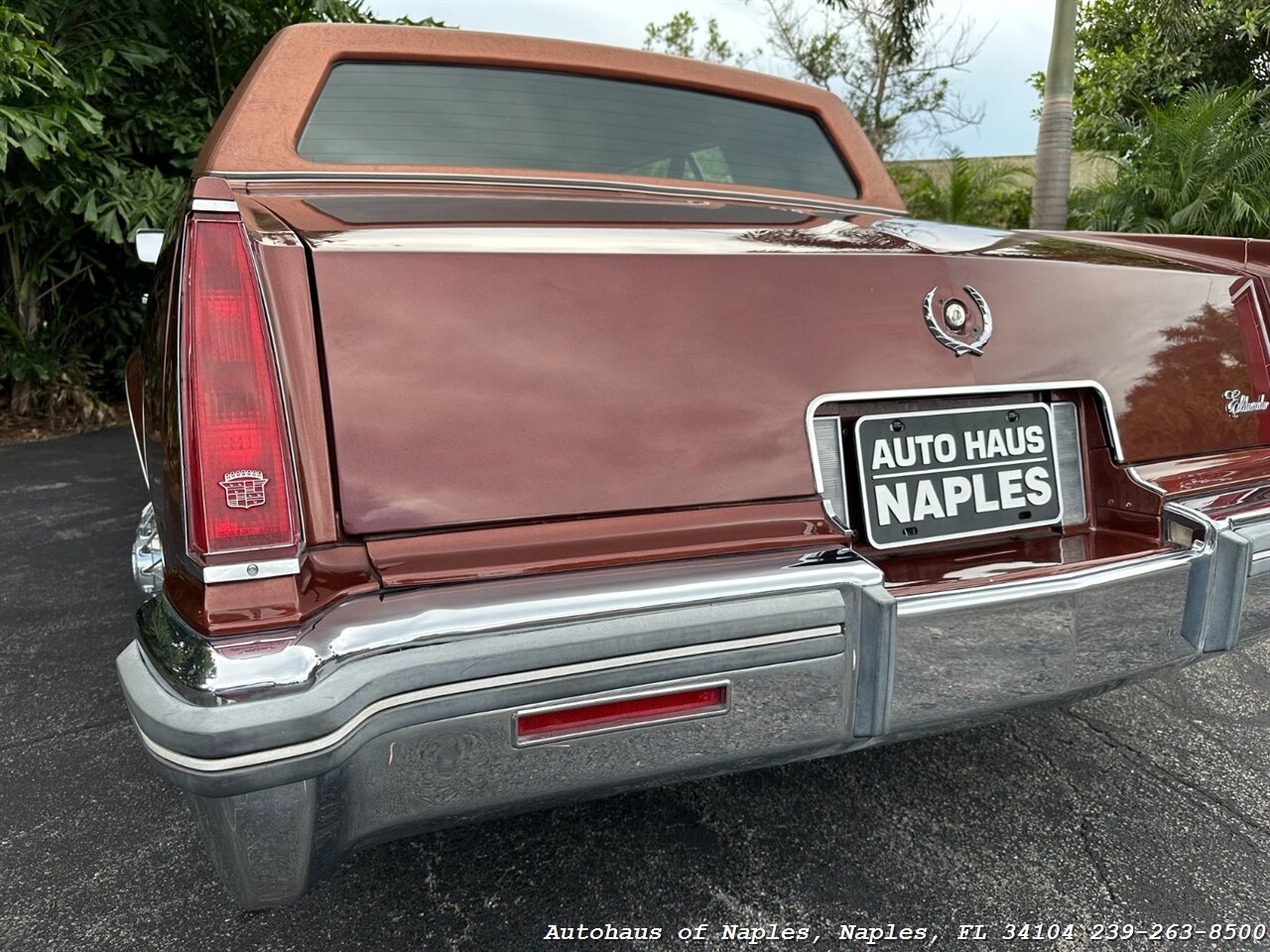 1979 Cadillac Eldorado   - Photo 19 - Naples, FL 34104