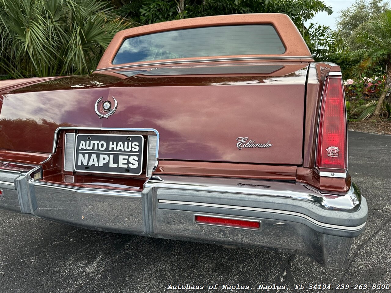 1979 Cadillac Eldorado   - Photo 20 - Naples, FL 34104