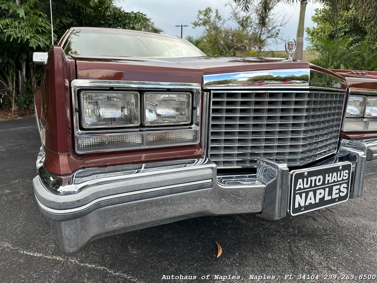 1979 Cadillac Eldorado   - Photo 6 - Naples, FL 34104