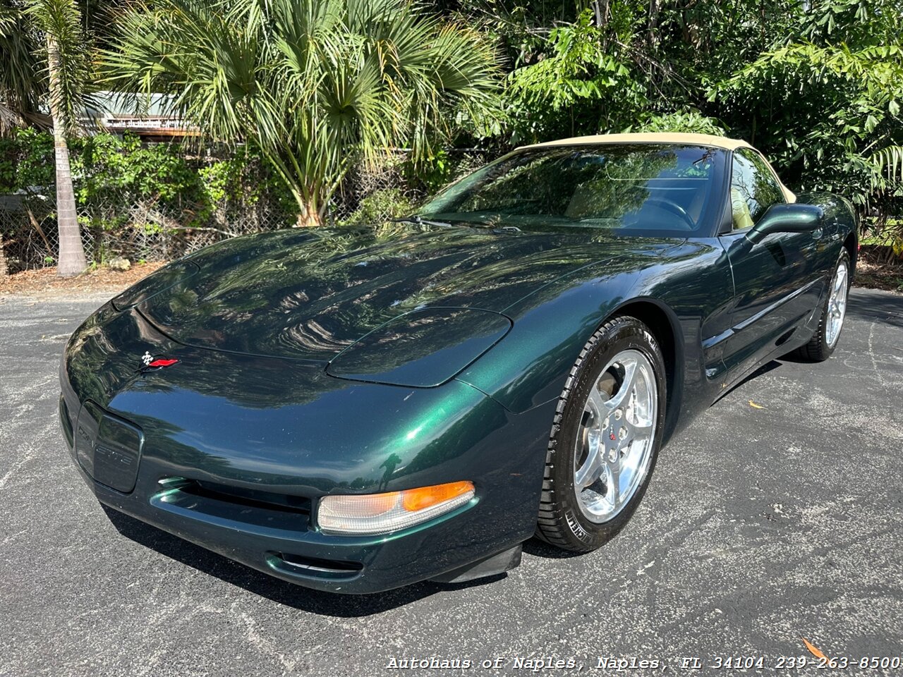 2001 Chevrolet Corvette   - Photo 4 - Naples, FL 34104