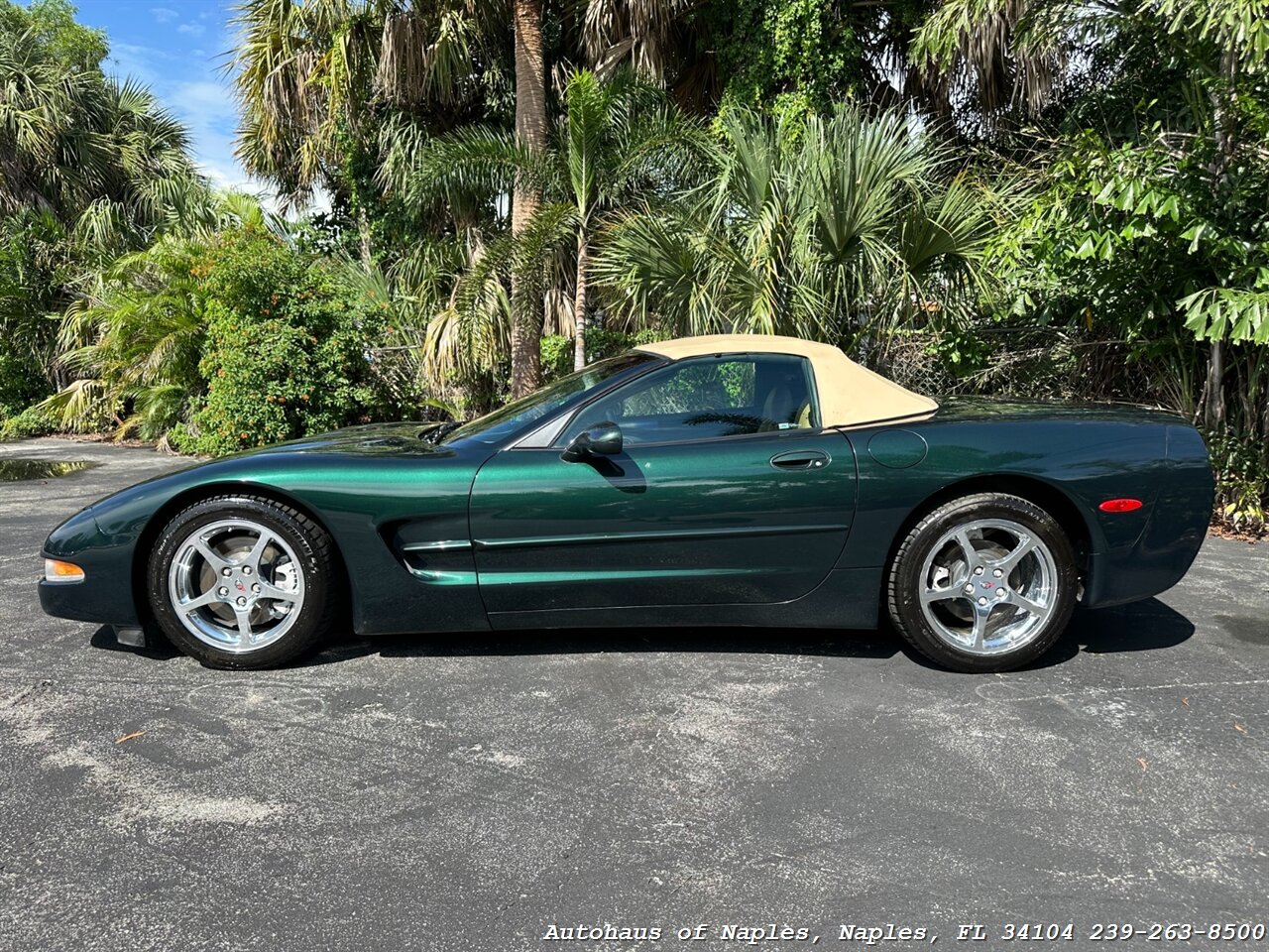 2001 Chevrolet Corvette   - Photo 5 - Naples, FL 34104