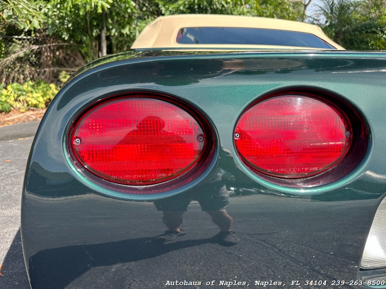 2001 Chevrolet Corvette   - Photo 15 - Naples, FL 34104