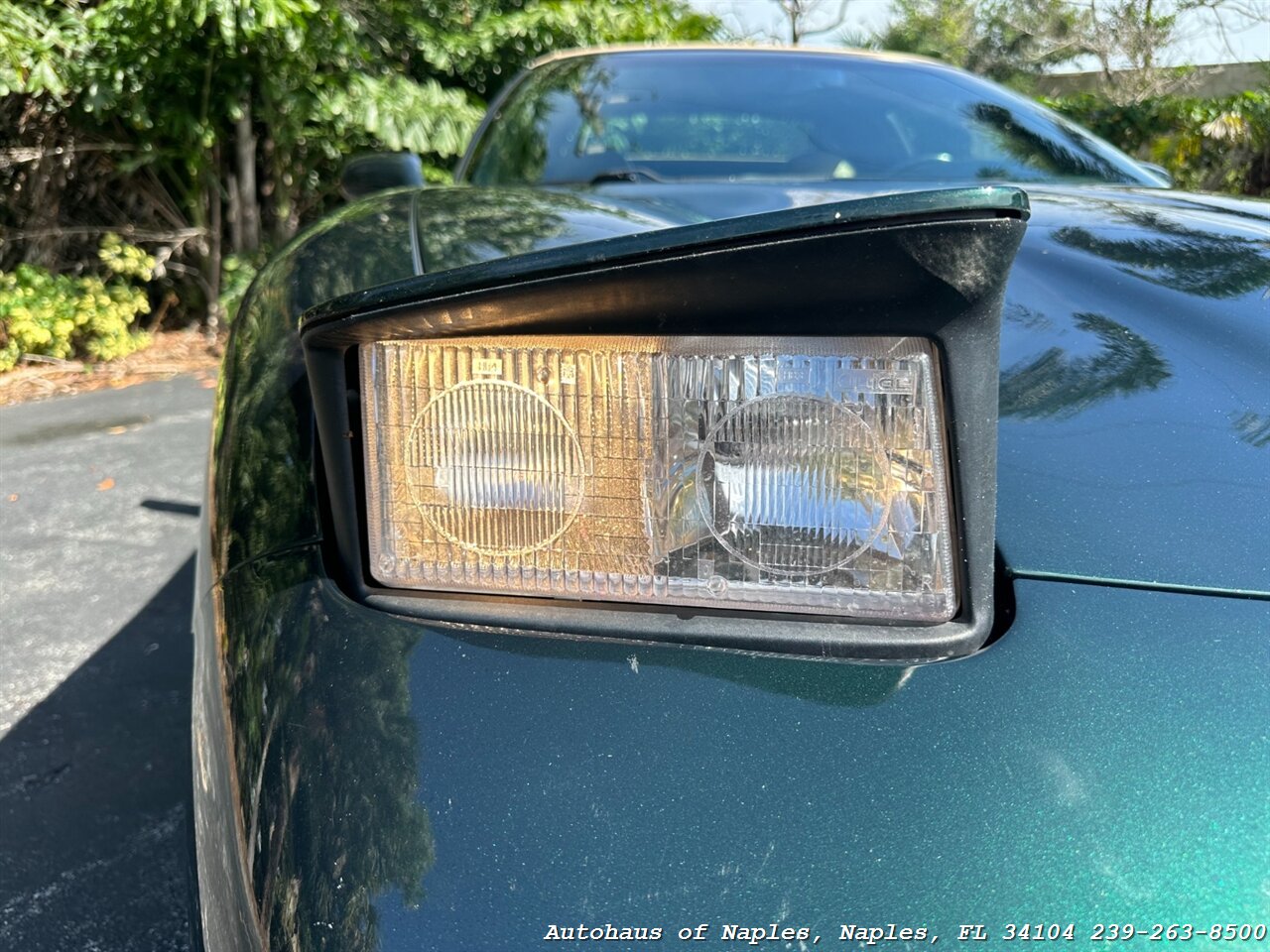 2001 Chevrolet Corvette   - Photo 6 - Naples, FL 34104