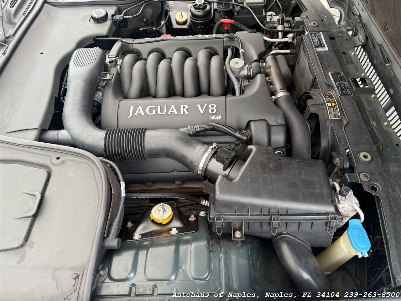 1999 Jaguar Vanden Plas - Photo 32 - Naples, FL 34104