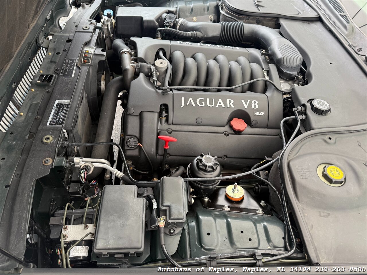 1999 Jaguar Vanden Plas - Photo 33 - Naples, FL 34104