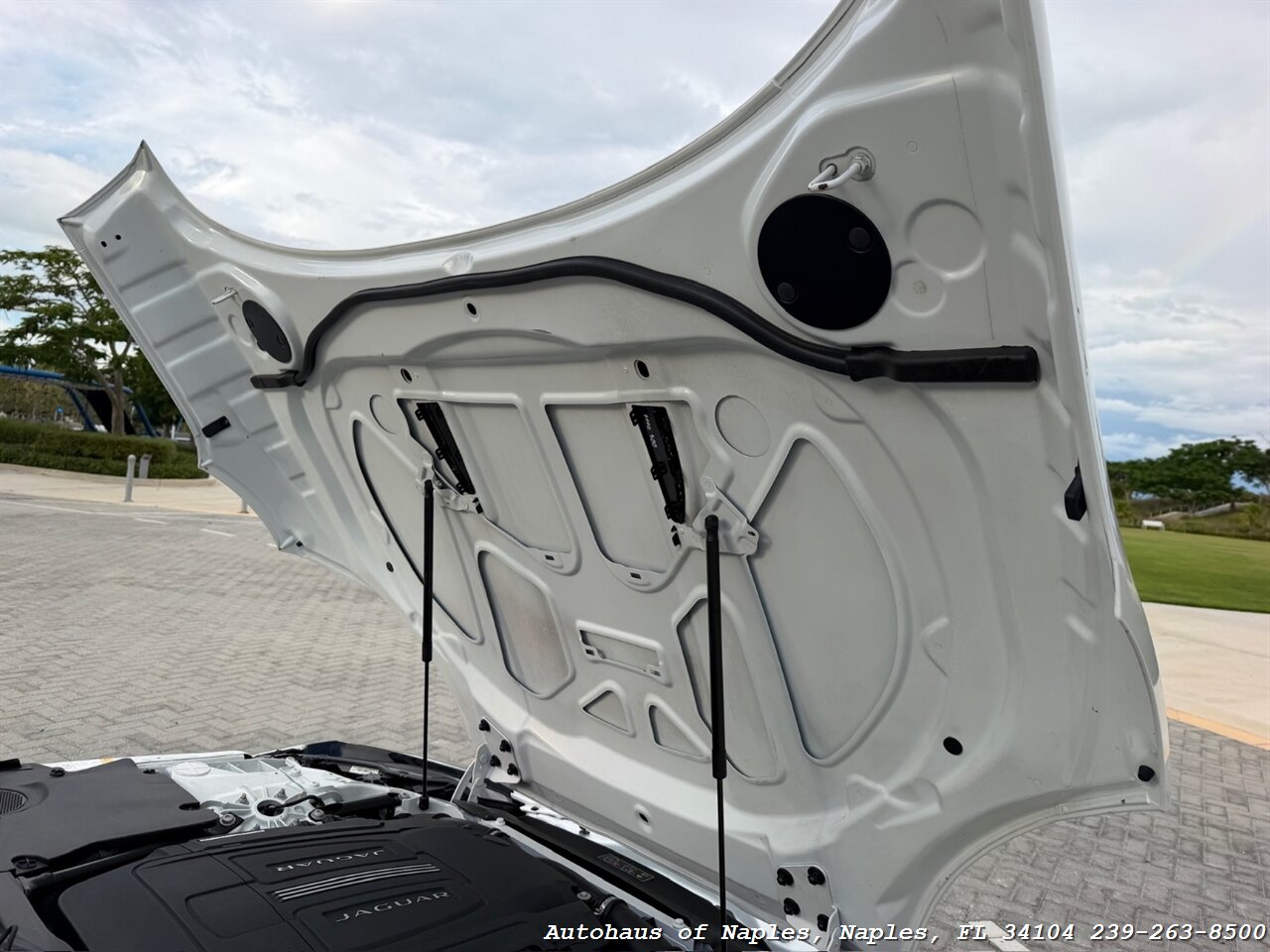 2014 Jaguar F-TYPE V8 S - Photo 53 - Naples, FL 34104