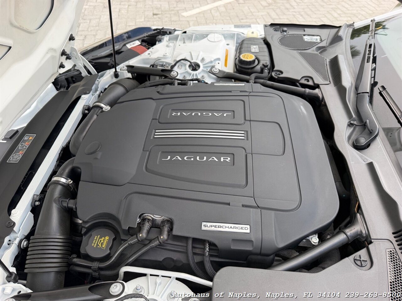2014 Jaguar F-TYPE V8 S - Photo 49 - Naples, FL 34104