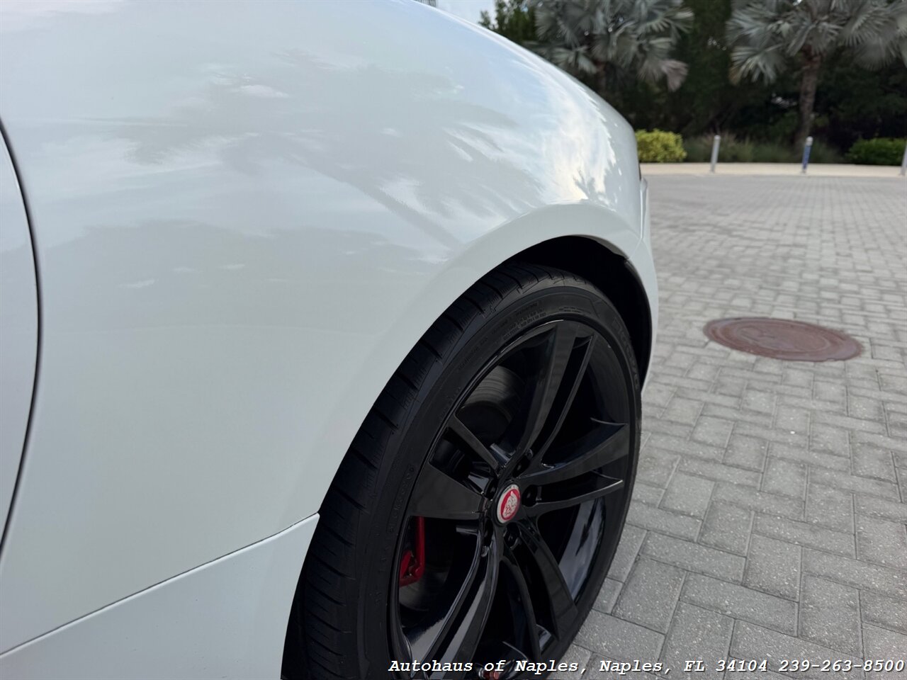 2014 Jaguar F-TYPE V8 S - Photo 16 - Naples, FL 34104