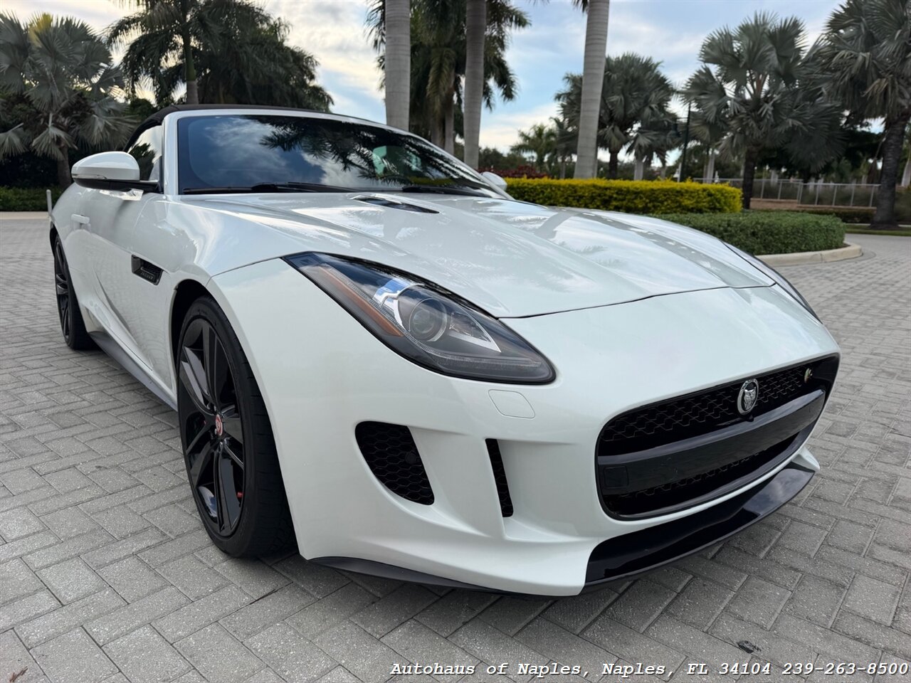 2014 Jaguar F-TYPE V8 S - Photo 3 - Naples, FL 34104