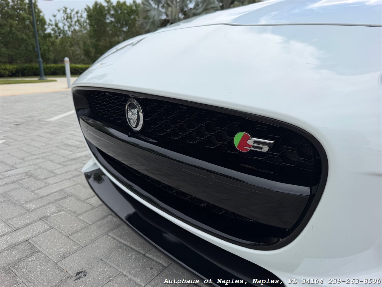2014 Jaguar F-TYPE V8 S - Photo 6 - Naples, FL 34104