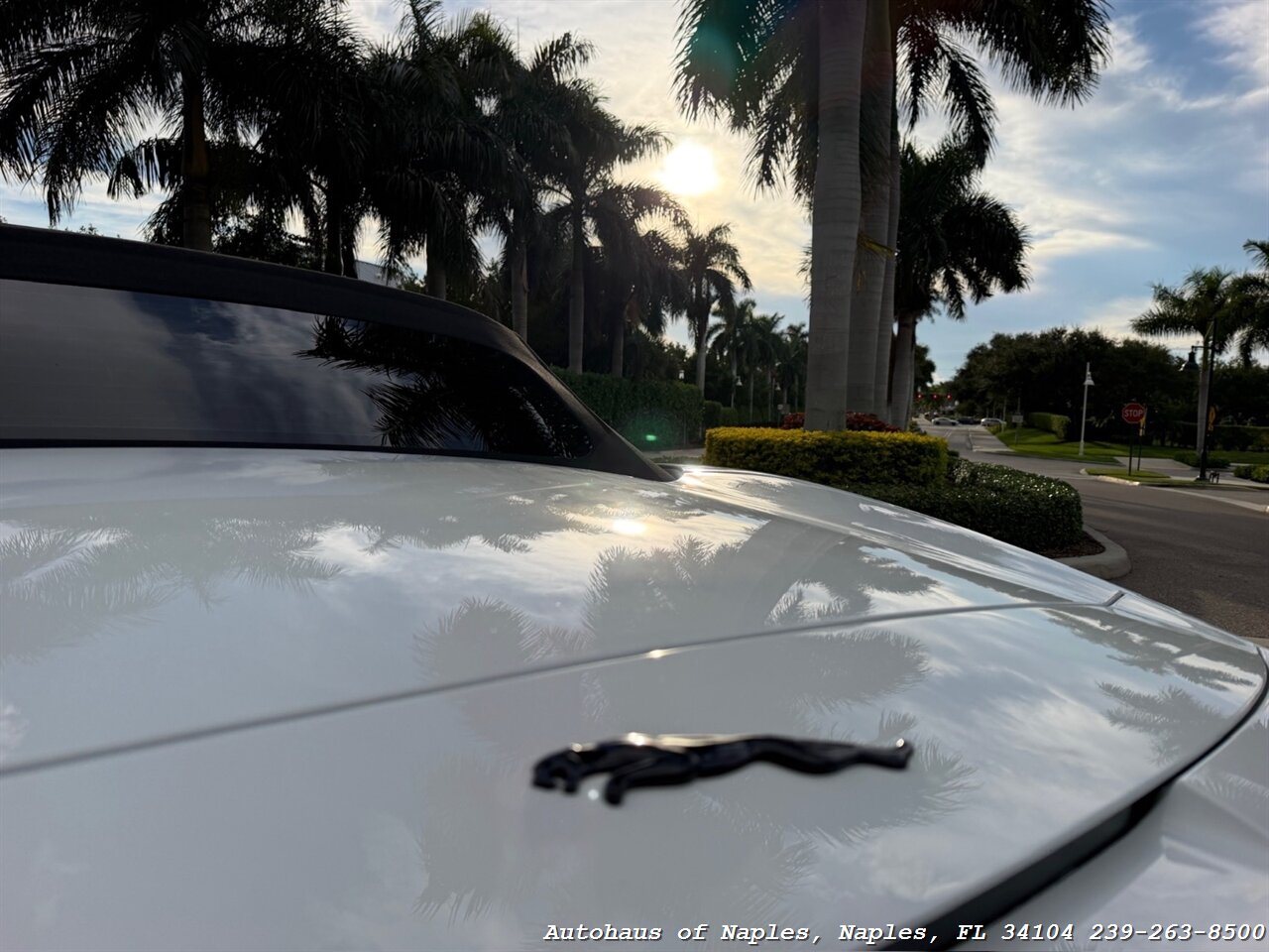 2014 Jaguar F-TYPE V8 S - Photo 76 - Naples, FL 34104