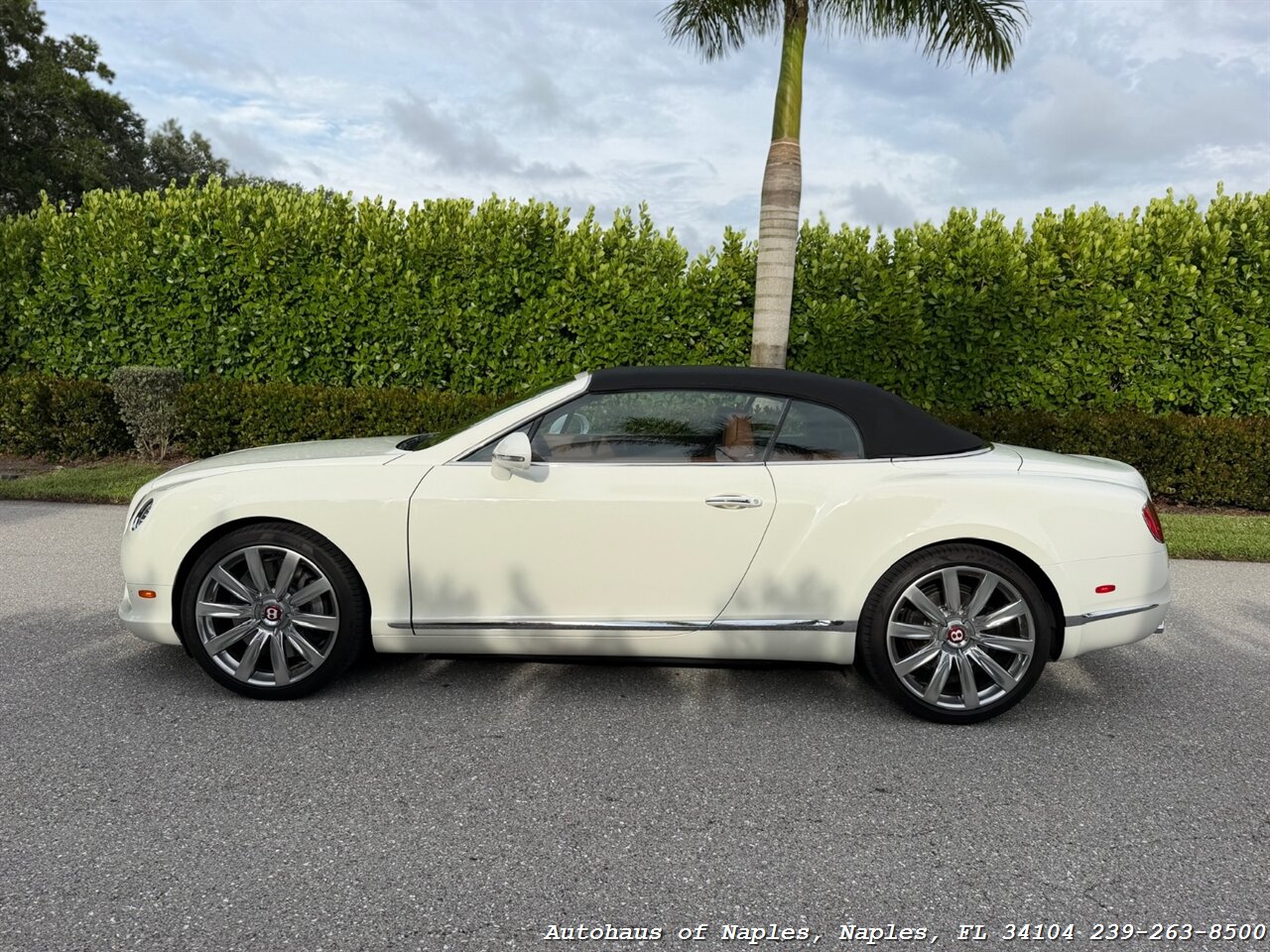 2015 Bentley Continental GT V8   - Photo 10 - Naples, FL 34104