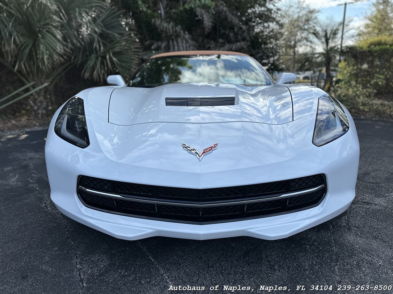 2014 Chevrolet Corvette Stingray Convertible 2LT   - Photo 3 - Naples, FL 34104