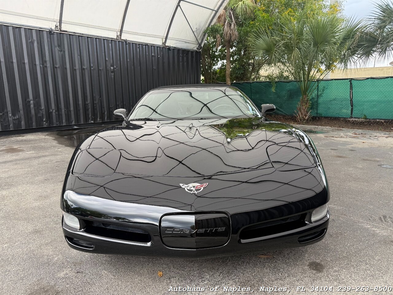 2003 Chevrolet Corvette   - Photo 3 - Naples, FL 34104