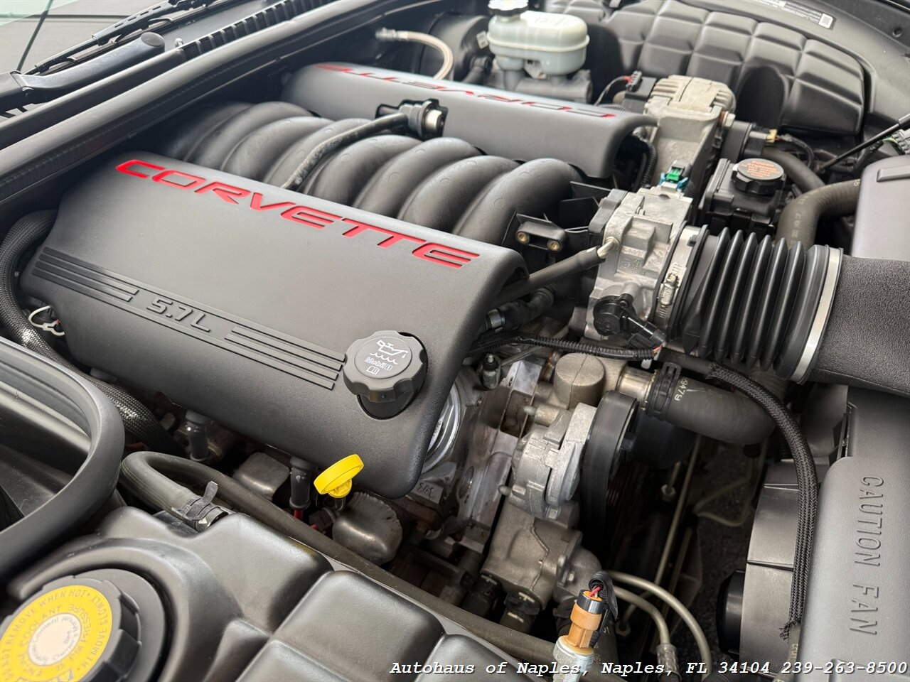 2003 Chevrolet Corvette   - Photo 17 - Naples, FL 34104