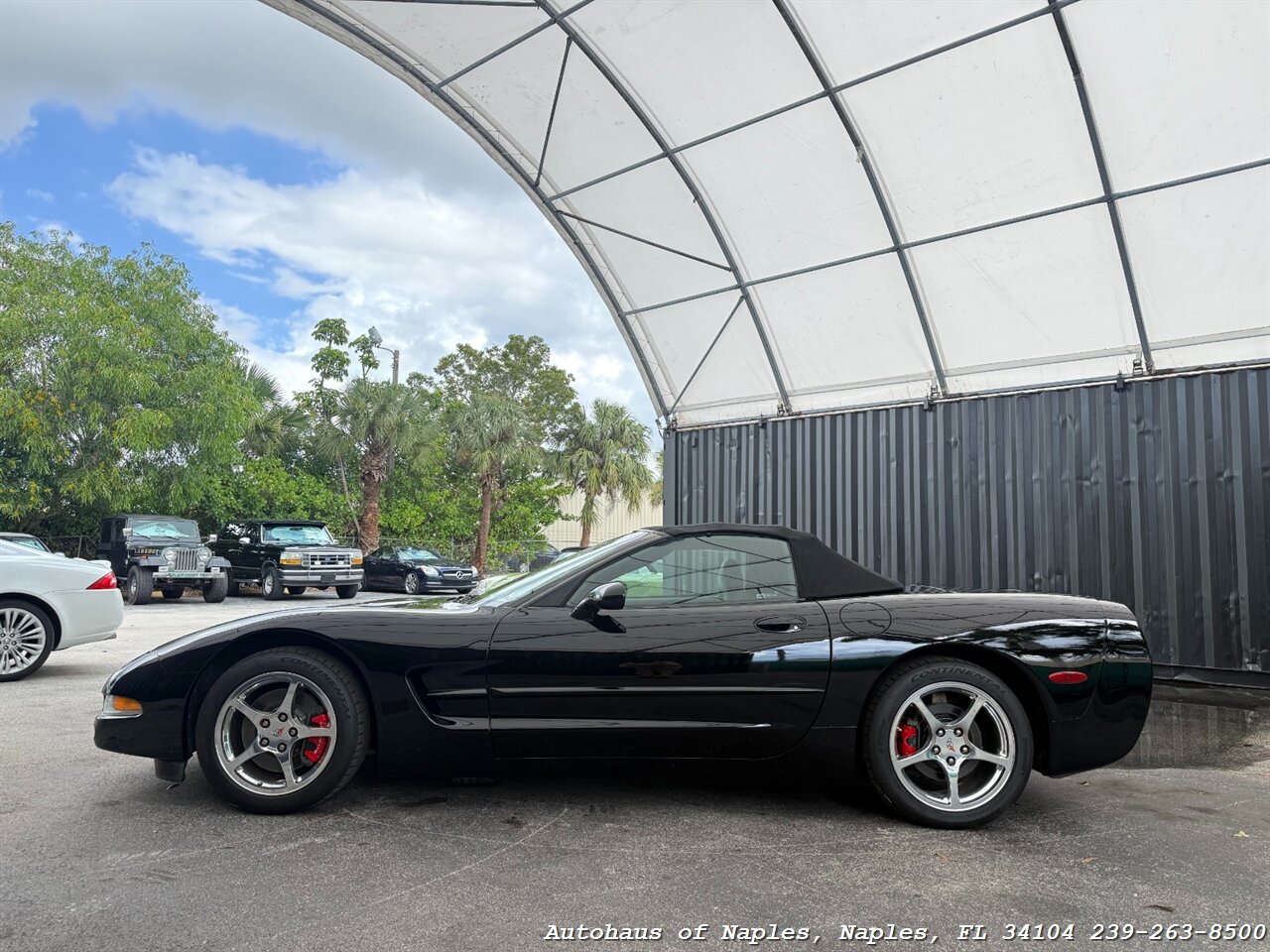 2003 Chevrolet Corvette   - Photo 5 - Naples, FL 34104