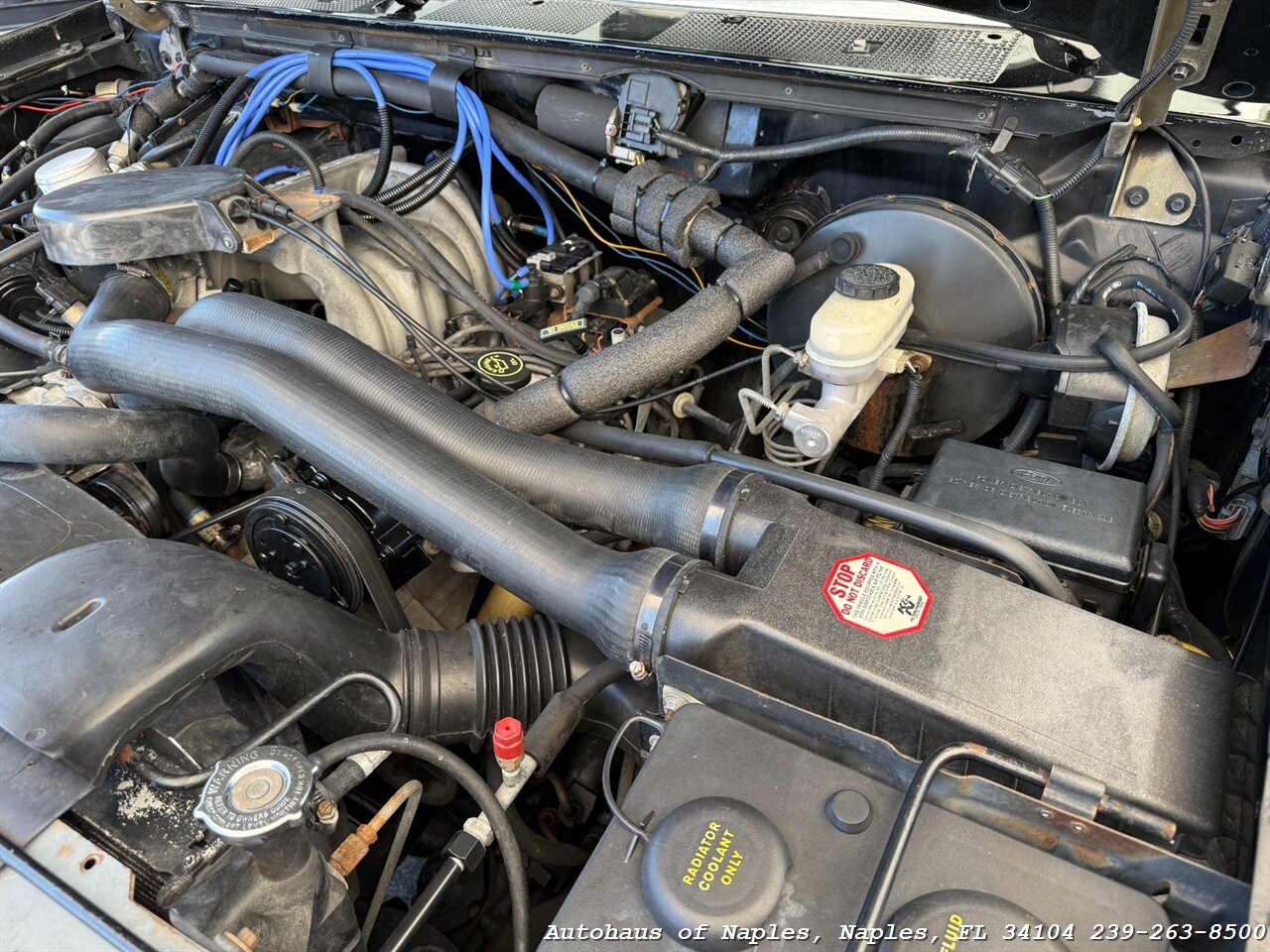 1992 Ford Bronco XLT 2dr XLT   - Photo 20 - Naples, FL 34104