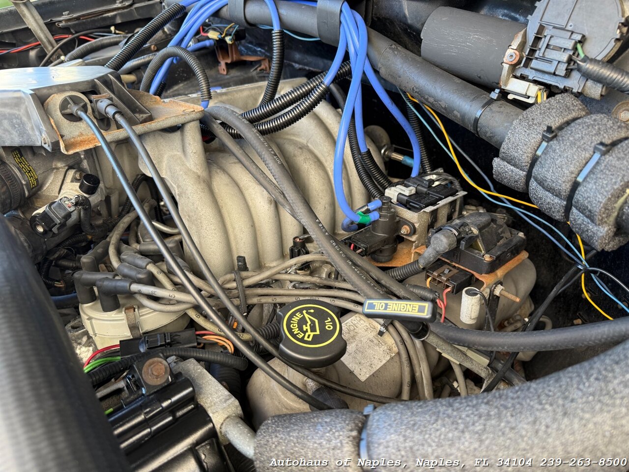 1992 Ford Bronco XLT 2dr XLT   - Photo 21 - Naples, FL 34104