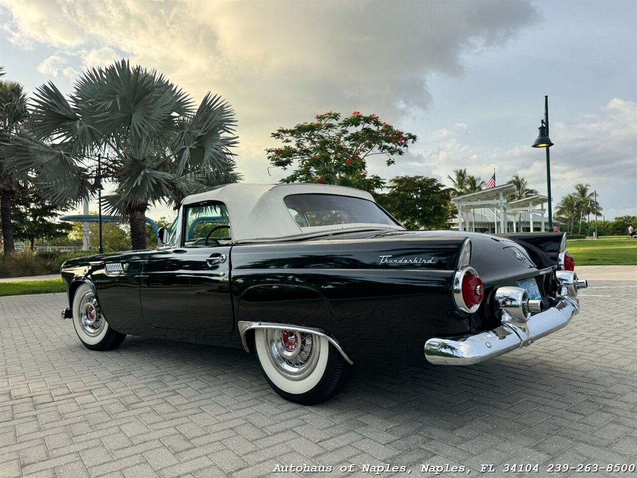 1955 Ford Thunderbird - Photo 14 - Naples, FL 34104