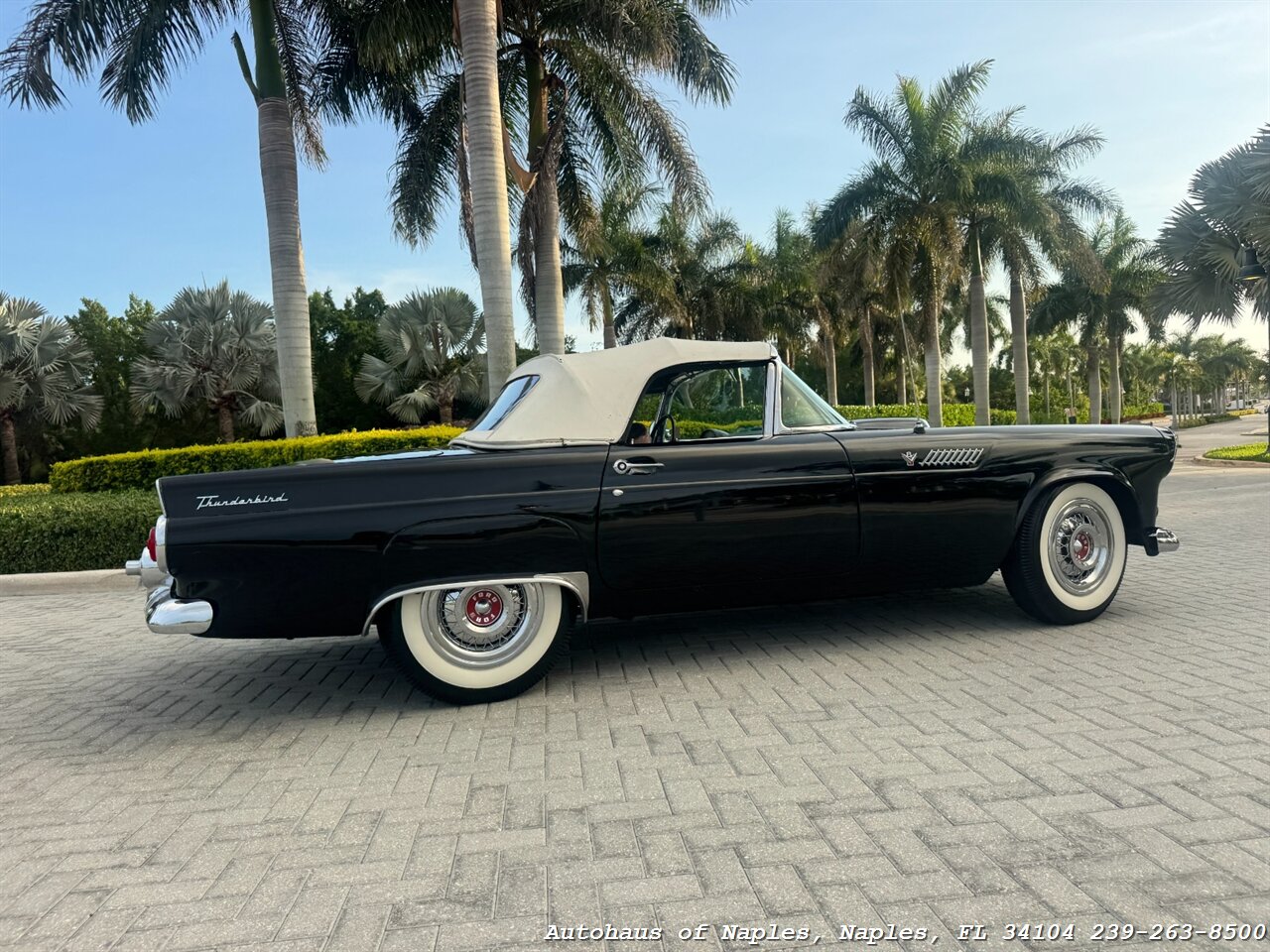 1955 Ford Thunderbird - Photo 8 - Naples, FL 34104