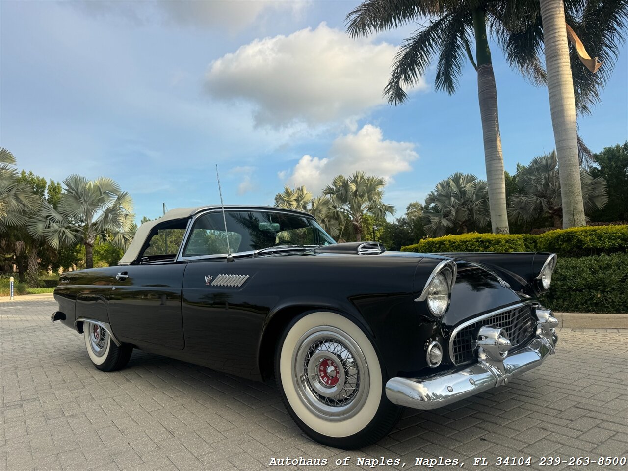 1955 Ford Thunderbird - Photo 5 - Naples, FL 34104