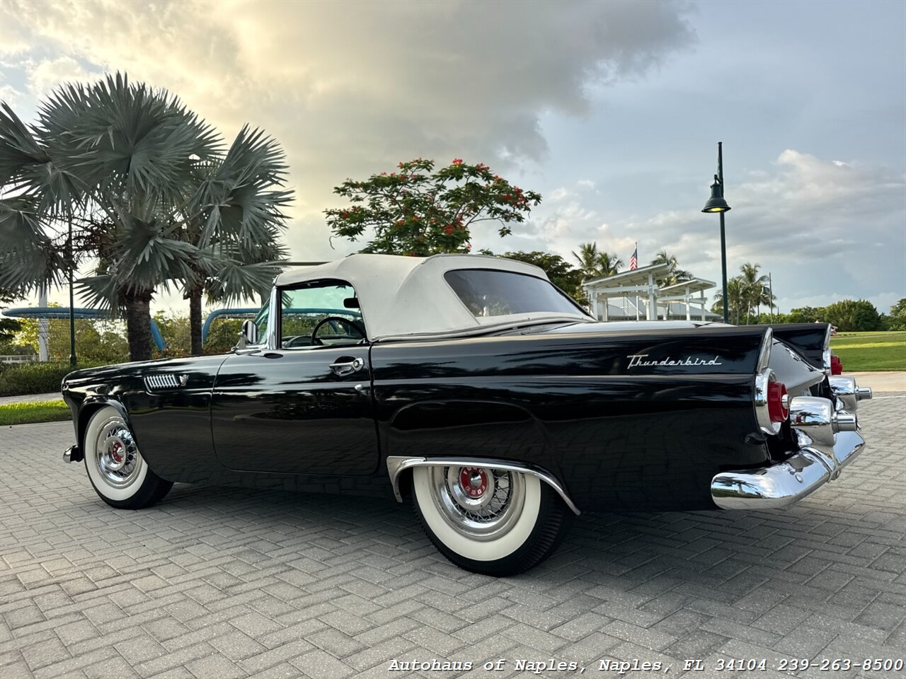 1955 Ford Thunderbird - Photo 15 - Naples, FL 34104